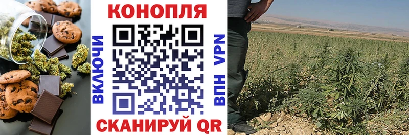 закладки  Разумное  Печенье с ТГК марихуана 