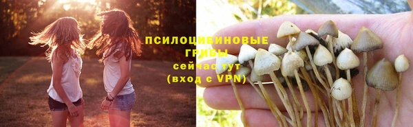 COCAINE Баксан
